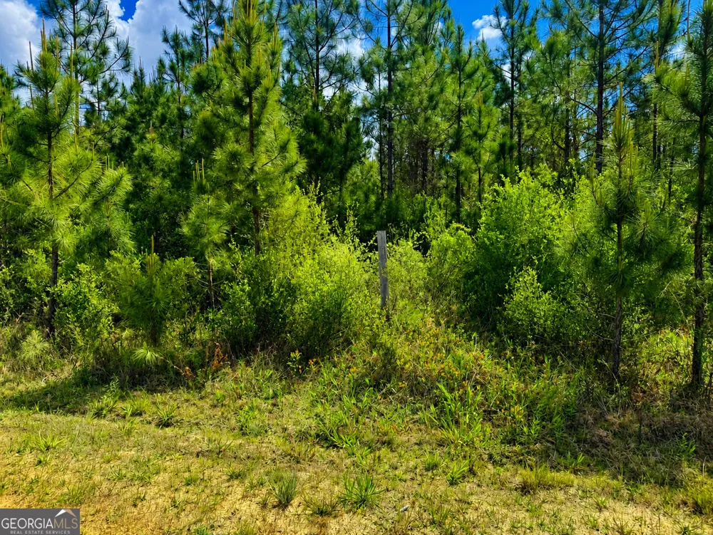 10.6 ACRES Allanton RD Panama City, FL 32404