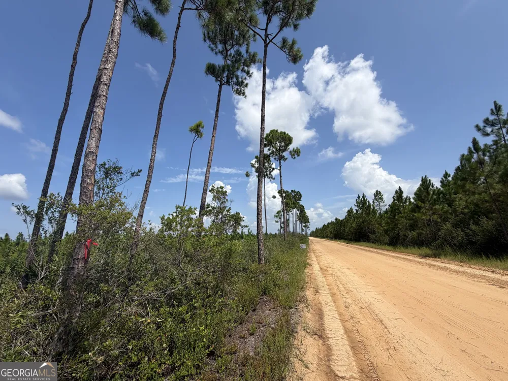 10.6 ACRES Allanton RD Panama City, FL 32404