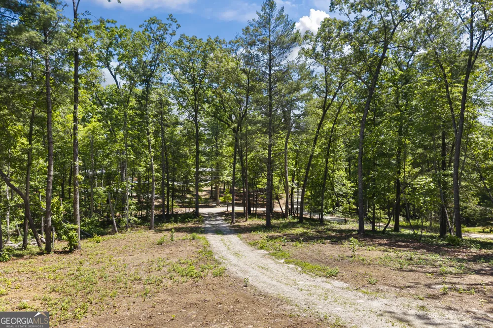 484 Mountain Stream LN Lakemont, GA 30552