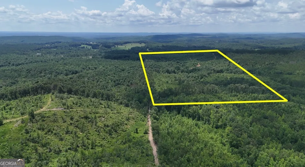 0 Old Highway 431 Wedowee, AL 36278