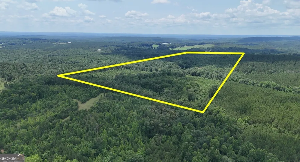 0 Old Highway 431 Wedowee, AL 36278