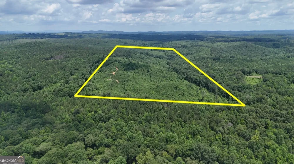 0 Old Highway 431 Wedowee, AL 36278