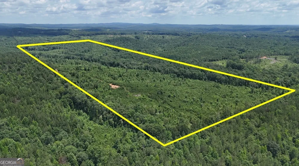 0 Old Highway 431 Wedowee, AL 36278
