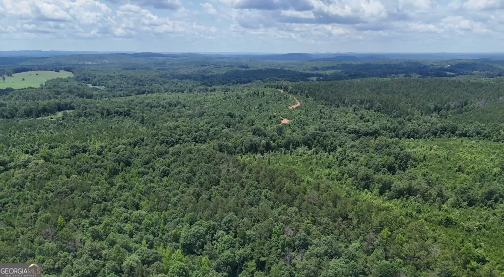 0 Old Highway 431 Wedowee, AL 36278