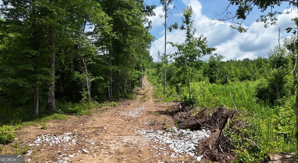 0 Old Highway 431 Wedowee, AL 36278