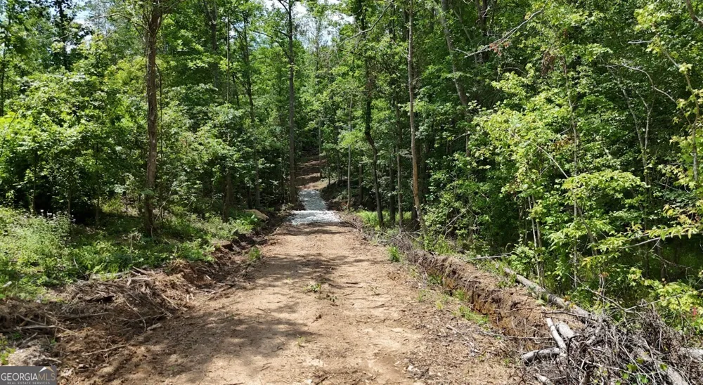 0 Old Highway 431 Wedowee, AL 36278