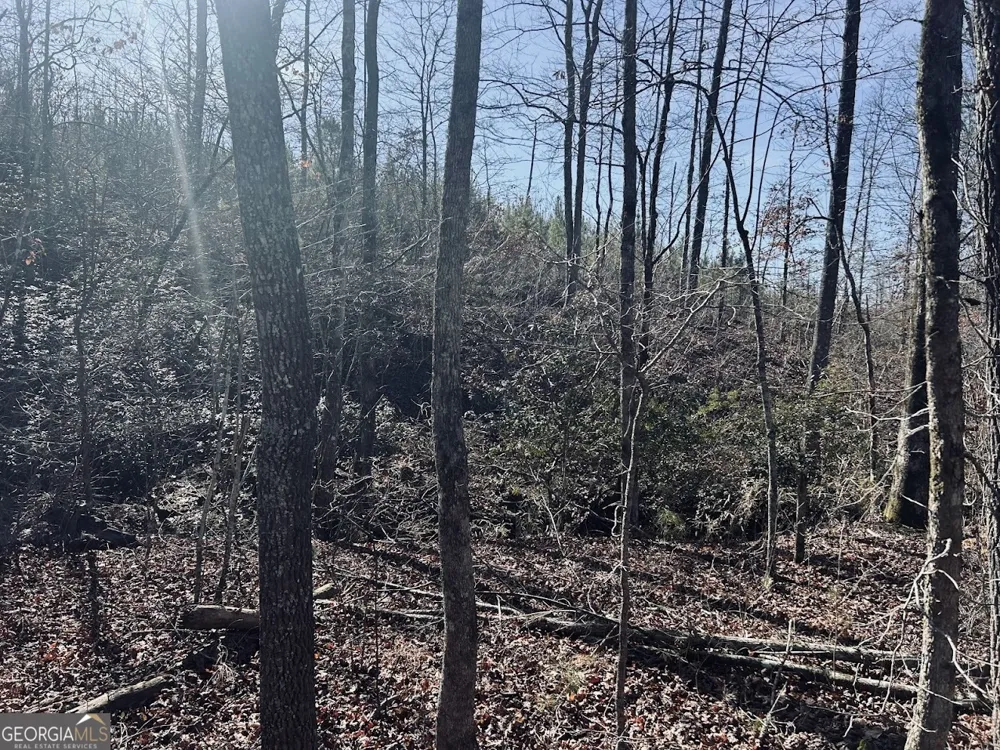 0 Old Highway 431 Wedowee, AL 36278