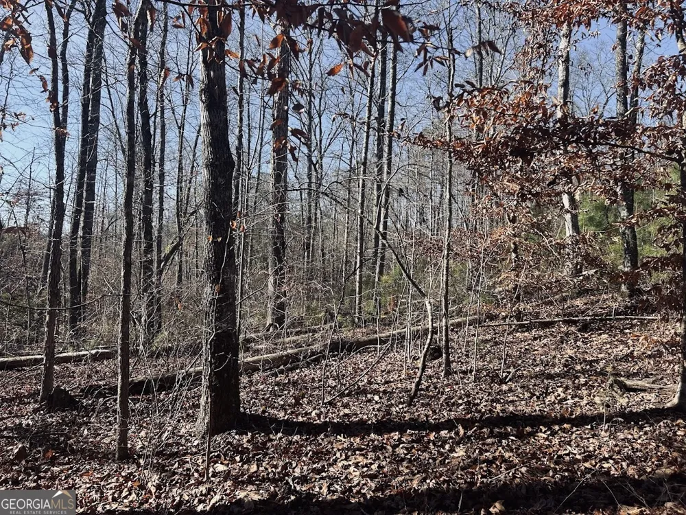 0 Old Highway 431 Wedowee, AL 36278