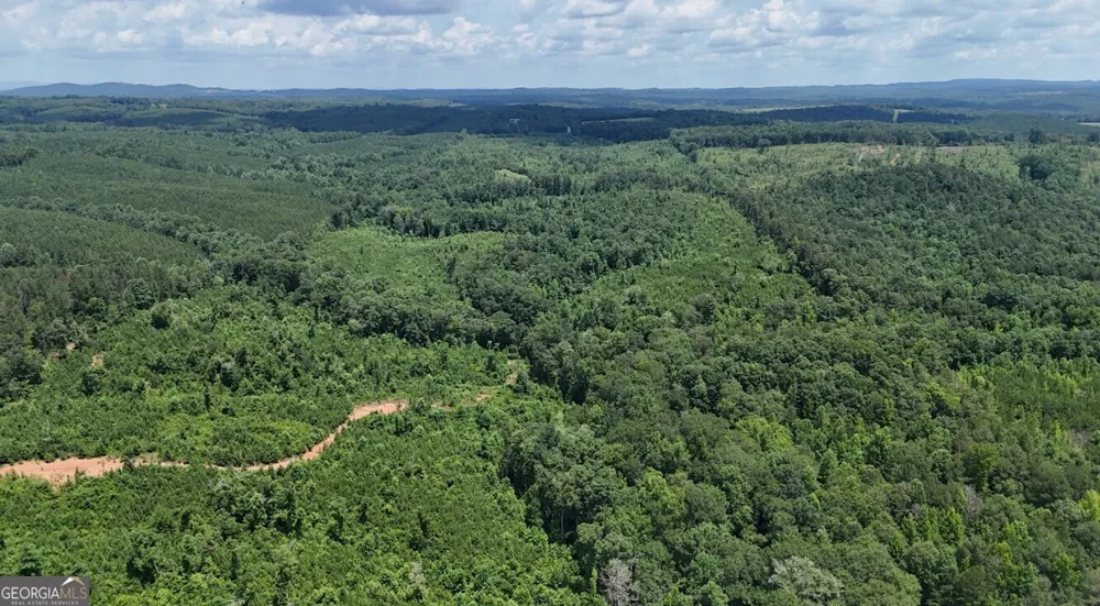 0 Old Highway 431 Wedowee, AL 36278