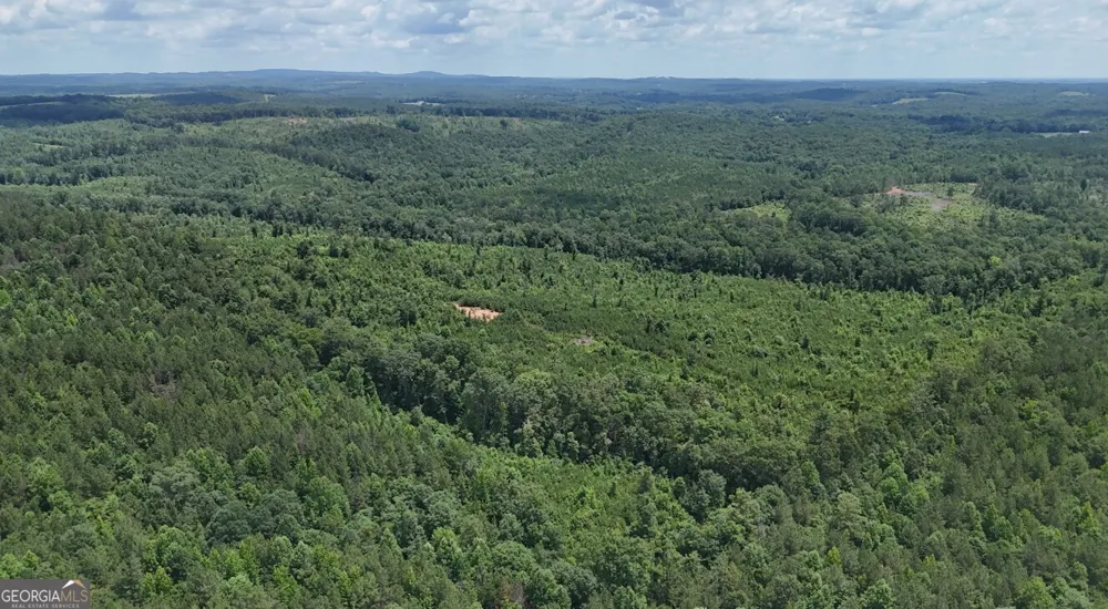 0 Old Highway 431 Wedowee, AL 36278