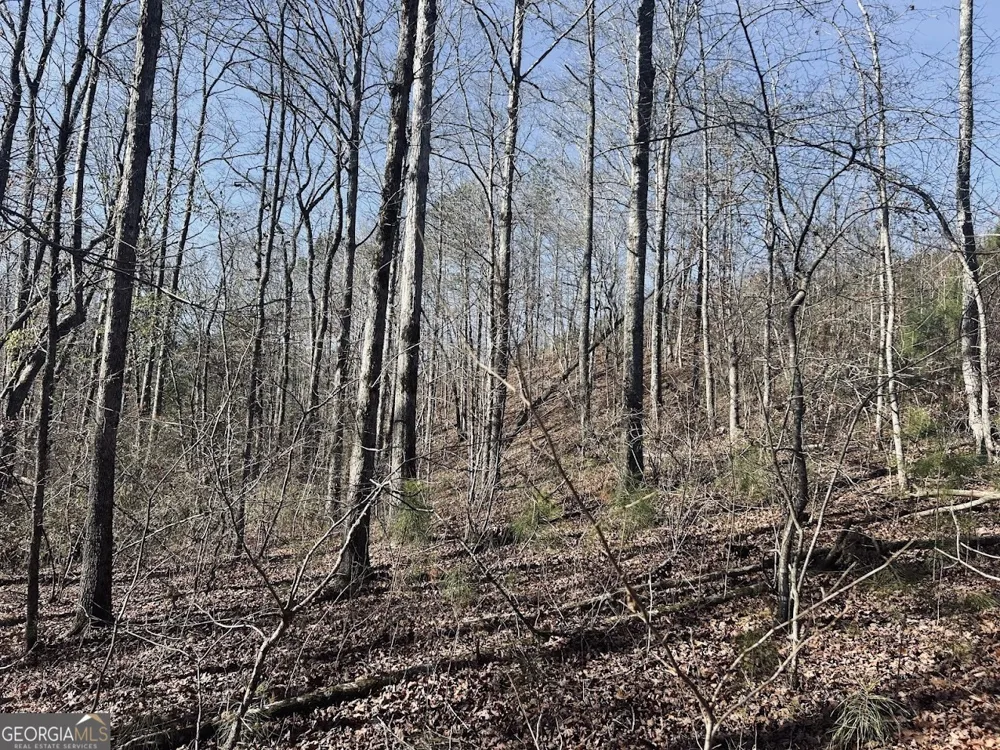 0 Old Highway 431 Wedowee, AL 36278