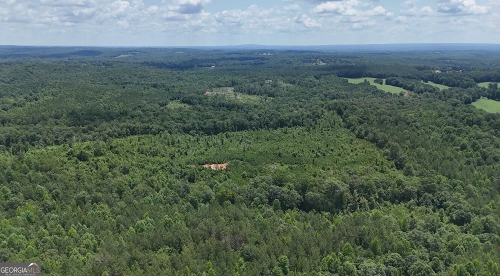 0 Old Highway 431 Wedowee, AL 36278