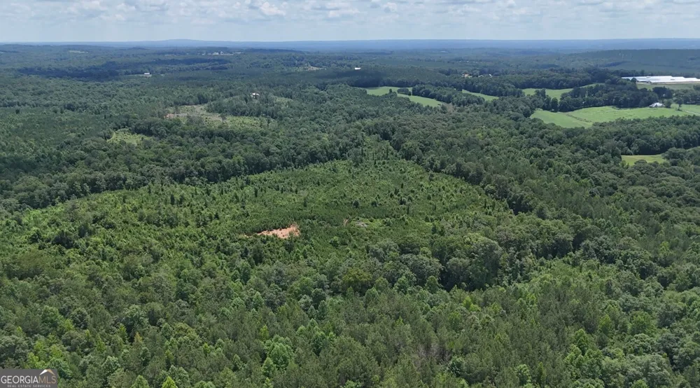 0 Old Highway 431 Wedowee, AL 36278