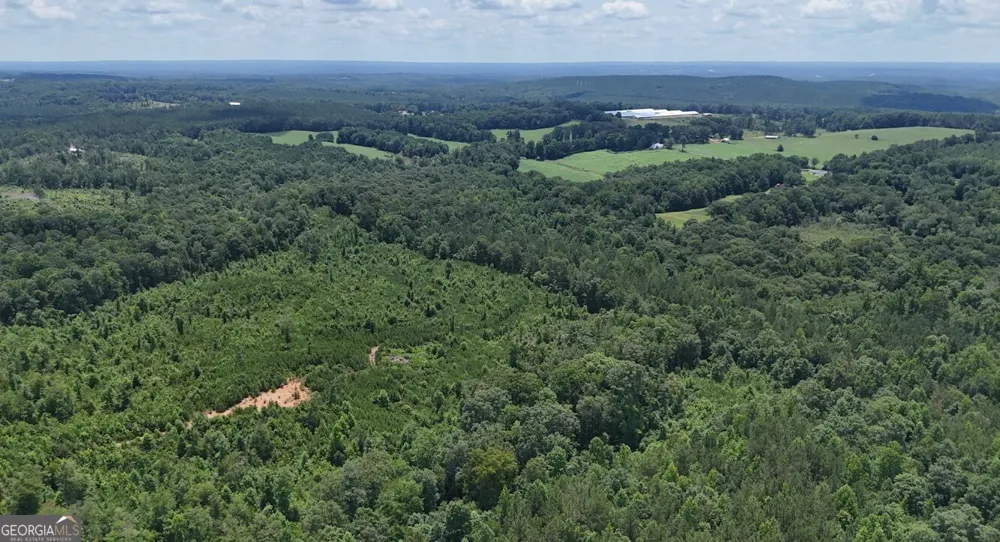 0 Old Highway 431 Wedowee, AL 36278