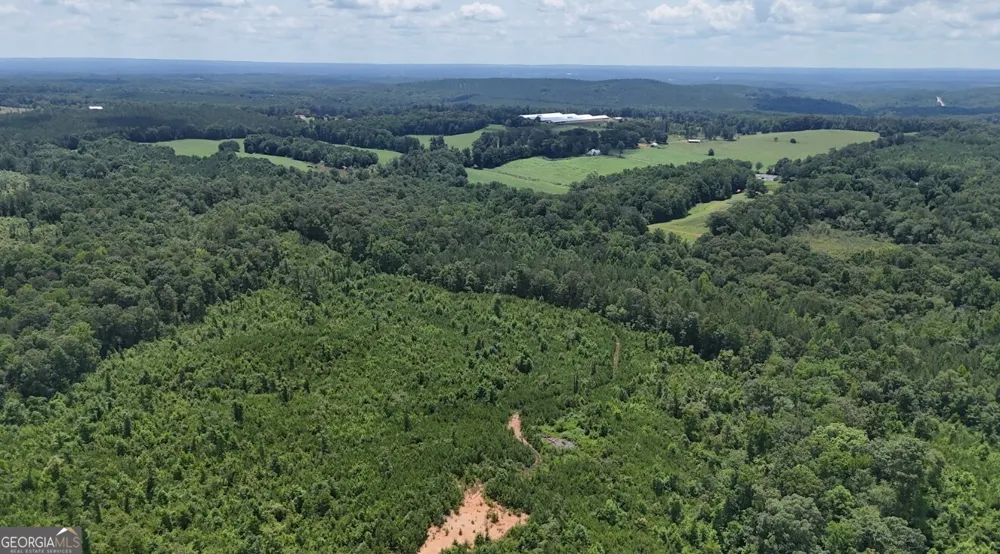 0 Old Highway 431 Wedowee, AL 36278