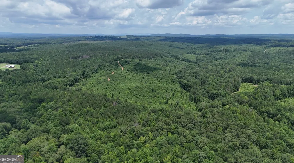 0 Old Highway 431 Wedowee, AL 36278