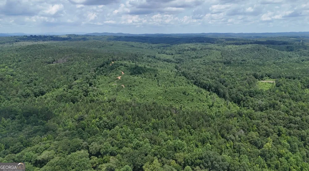 0 Old Highway 431 Wedowee, AL 36278