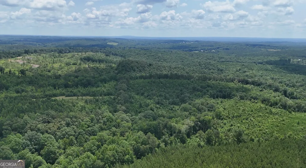 0 Old Highway 431 Wedowee, AL 36278