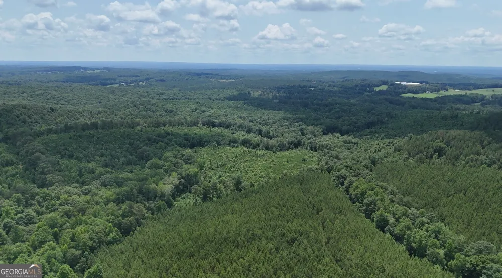 0 Old Highway 431 Wedowee, AL 36278