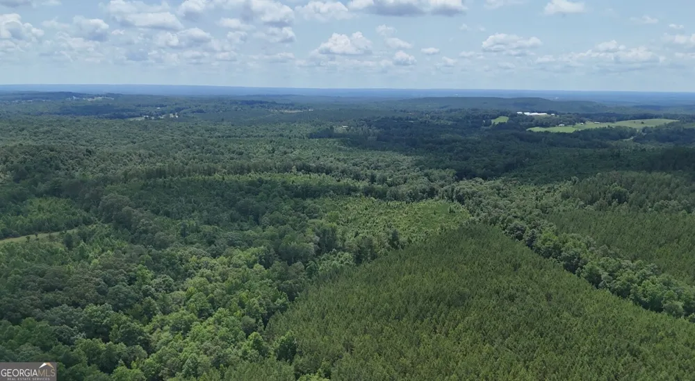 0 Old Highway 431 Wedowee, AL 36278