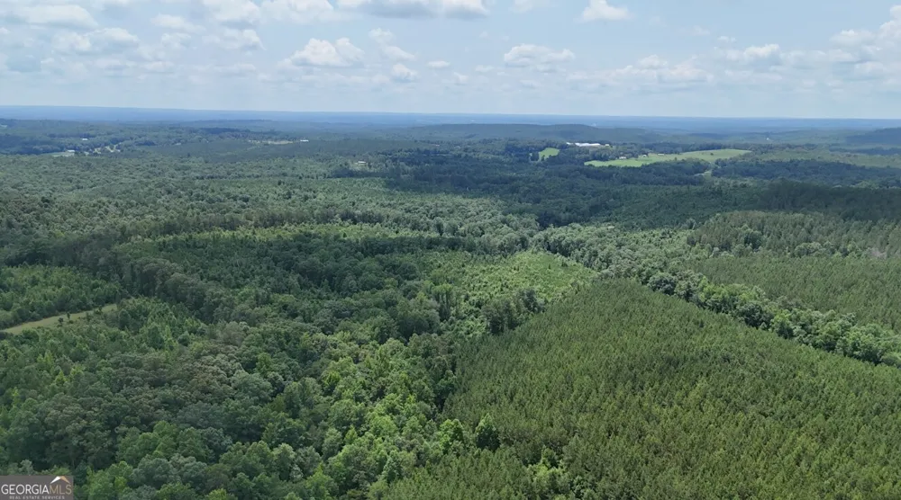 0 Old Highway 431 Wedowee, AL 36278