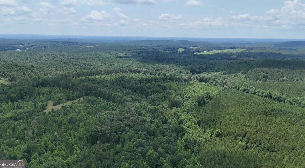 0 Old Highway 431 Wedowee, AL 36278