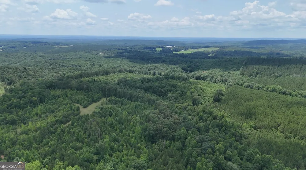 0 Old Highway 431 Wedowee, AL 36278