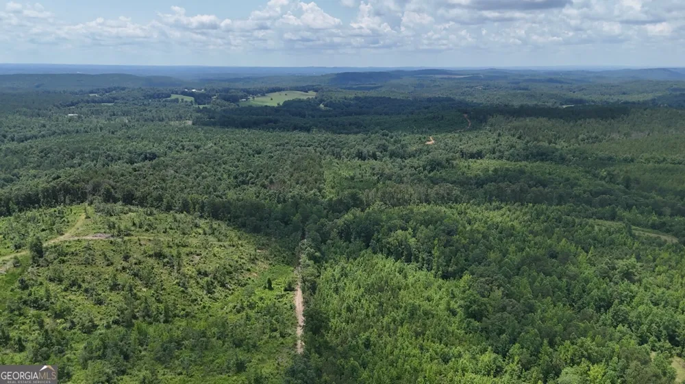 0 Old Highway 431 Wedowee, AL 36278