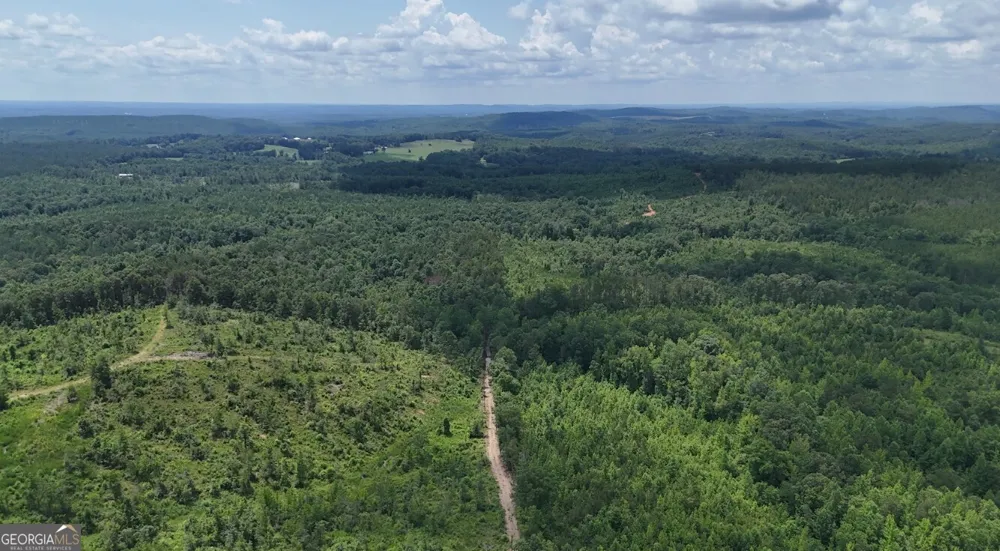 0 Old Highway 431 Wedowee, AL 36278
