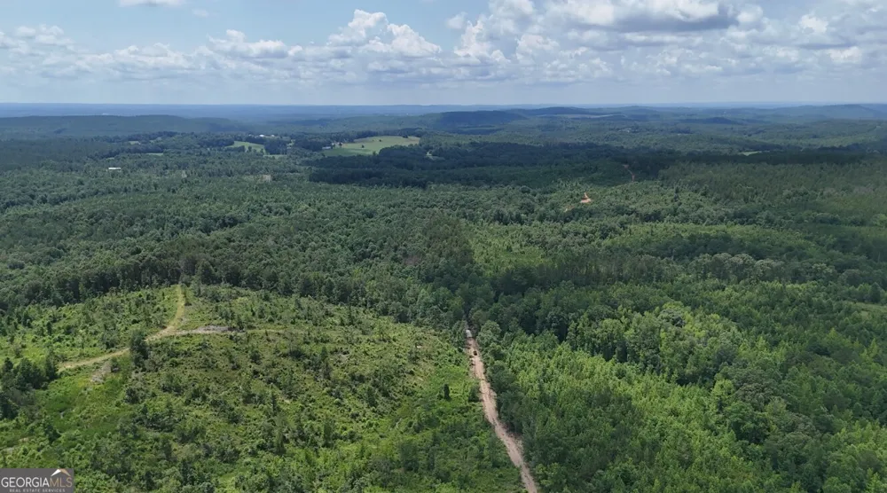 0 Old Highway 431 Wedowee, AL 36278