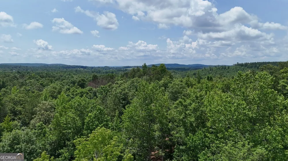 0 Old Highway 431 Wedowee, AL 36278