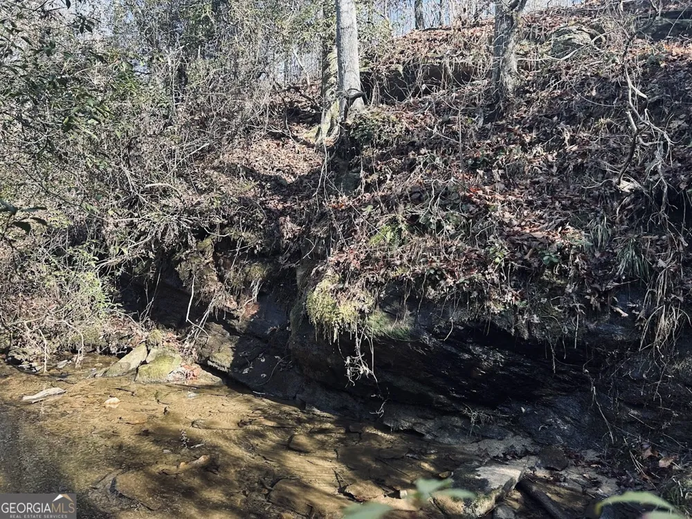 0 Old Highway 431 Wedowee, AL 36278