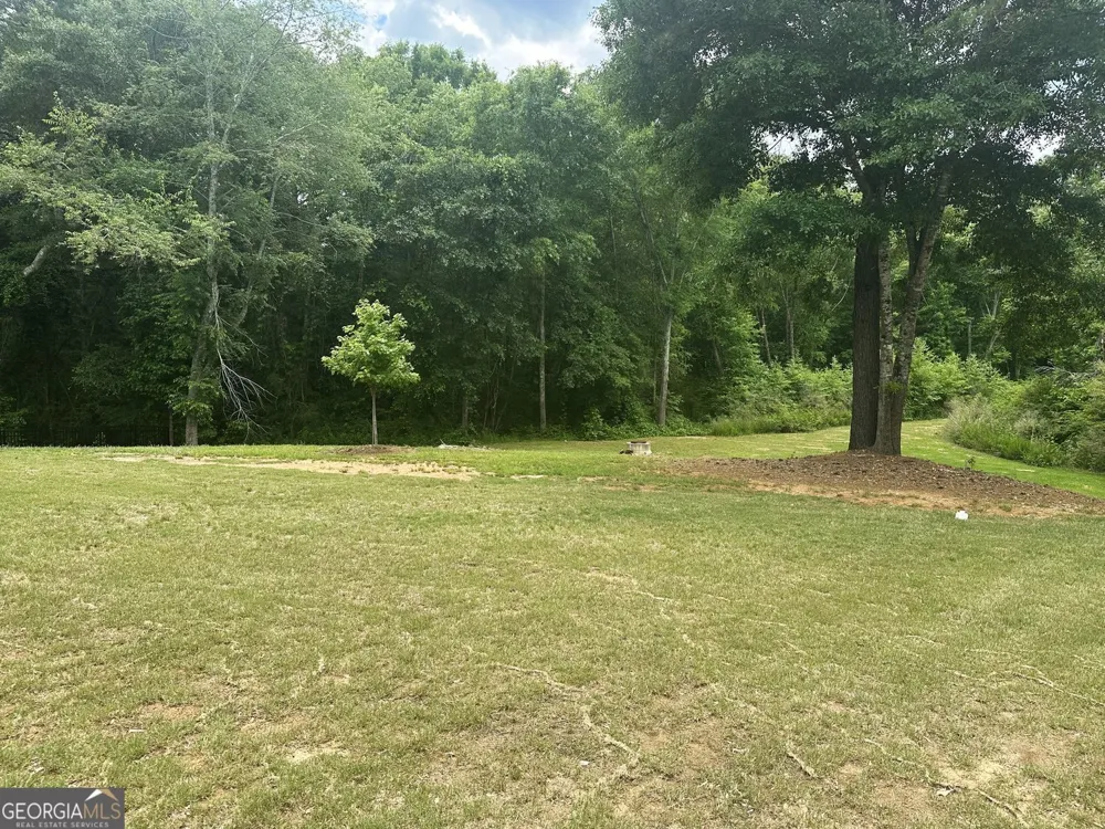 168 Mallard Creek WAY Bethlehem, GA 30620