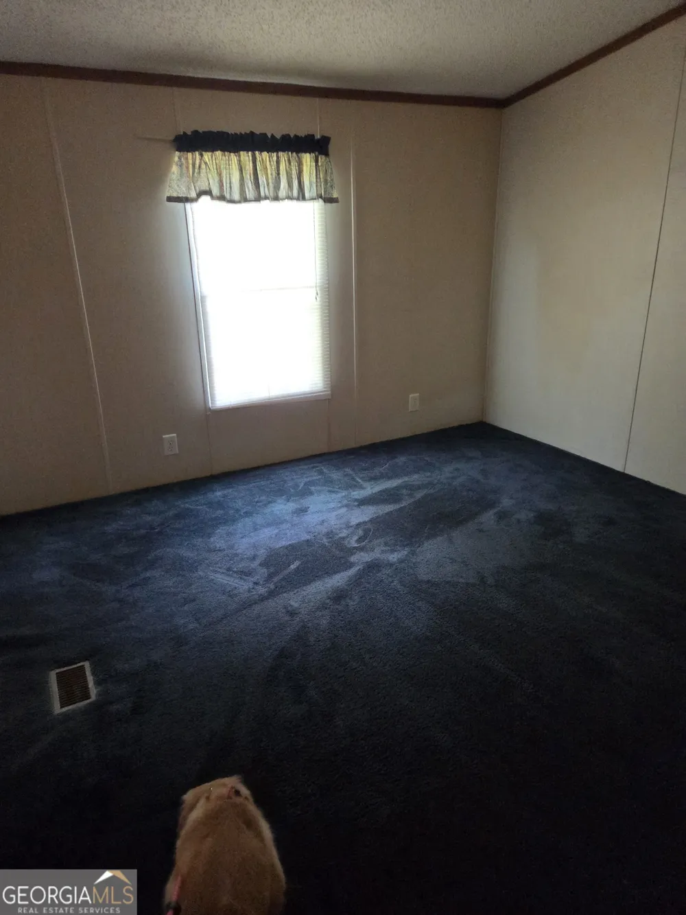 453 Lake DR Manchester, GA 31816