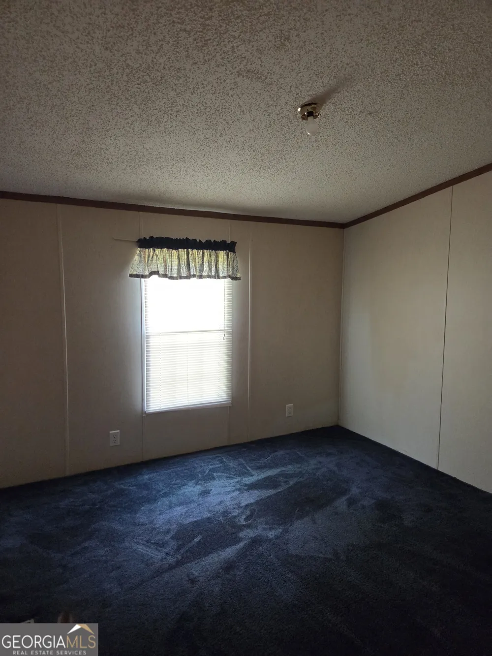 453 Lake DR Manchester, GA 31816