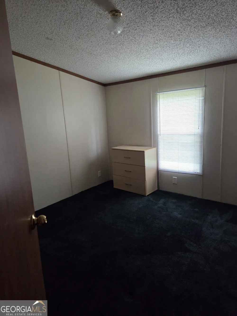 453 Lake DR Manchester, GA 31816