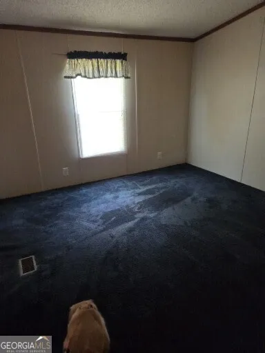 453 Lake DR Manchester, GA 31816