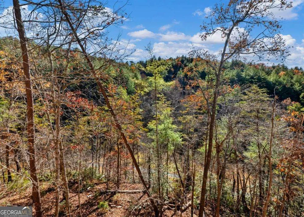 150 Alte Bruecke Strasse Helen, GA 30545