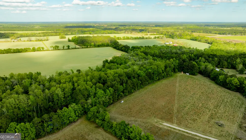 0 Siesta Lane (Lot 3) Statesboro, GA 30458