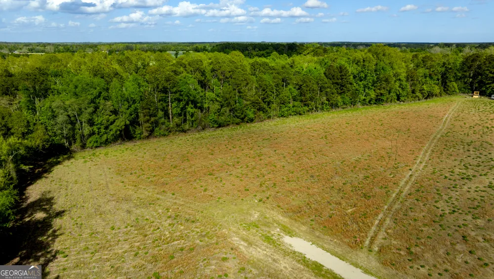 0 Siesta Lane (Lot 3) Statesboro, GA 30458