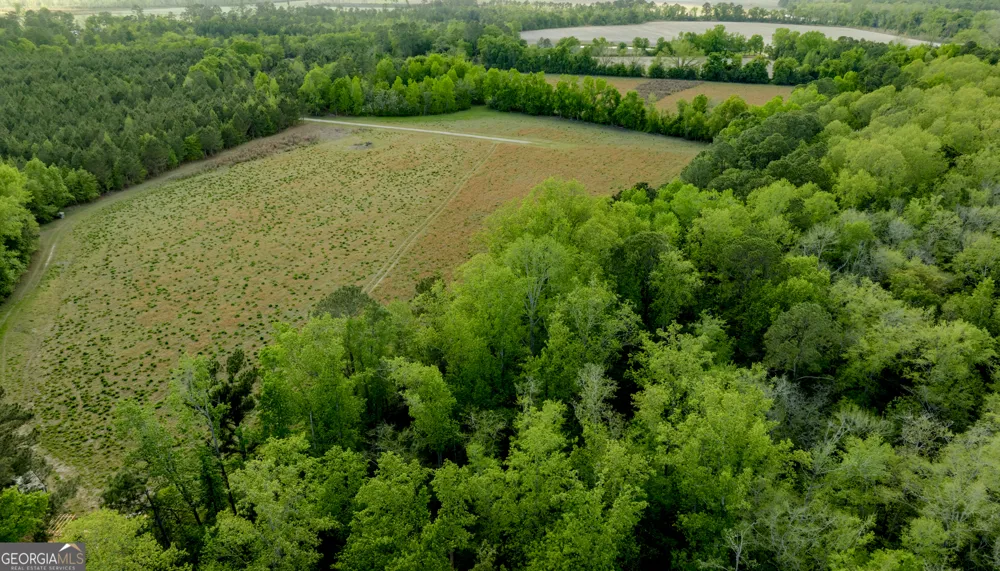 0 Siesta Lane (Lot 3) Statesboro, GA 30458