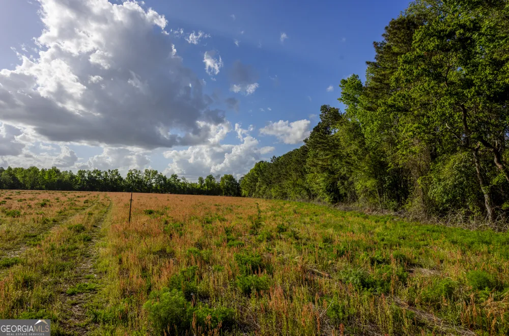 0 Siesta Lane (Lot 3) Statesboro, GA 30458