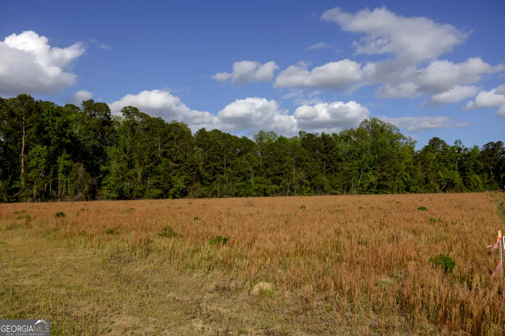0 Siesta Lane (Lot 3) Statesboro, GA 30458