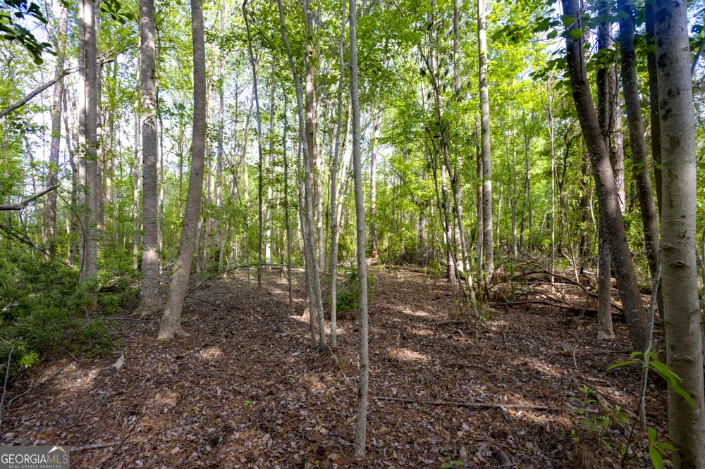0 Siesta Lane (Lot 3) Statesboro, GA 30458