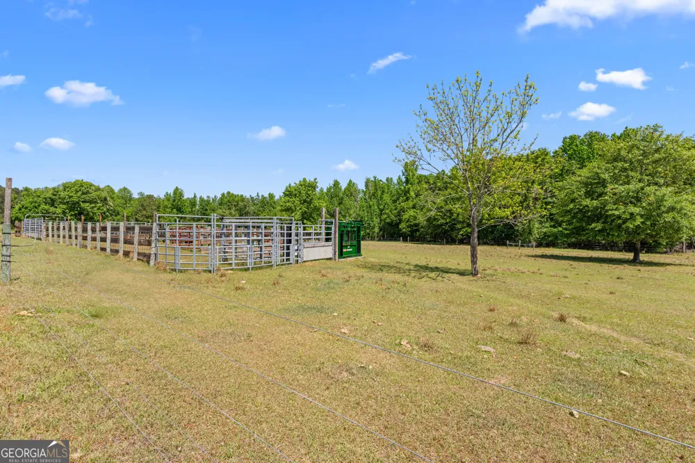 4194 Ivey S. LN Millen, GA 30442