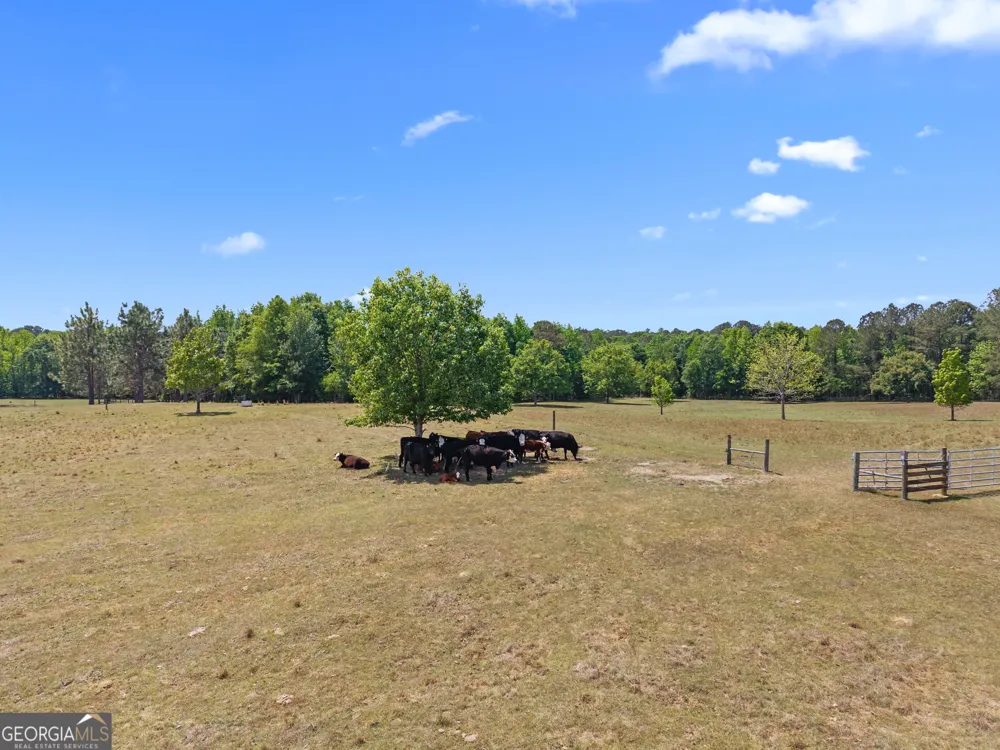 4194 Ivey S. LN Millen, GA 30442