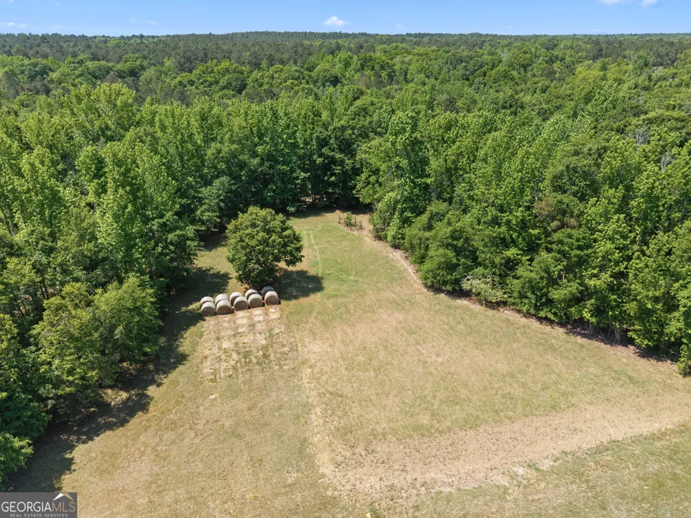4194 Ivey S. LN Millen, GA 30442