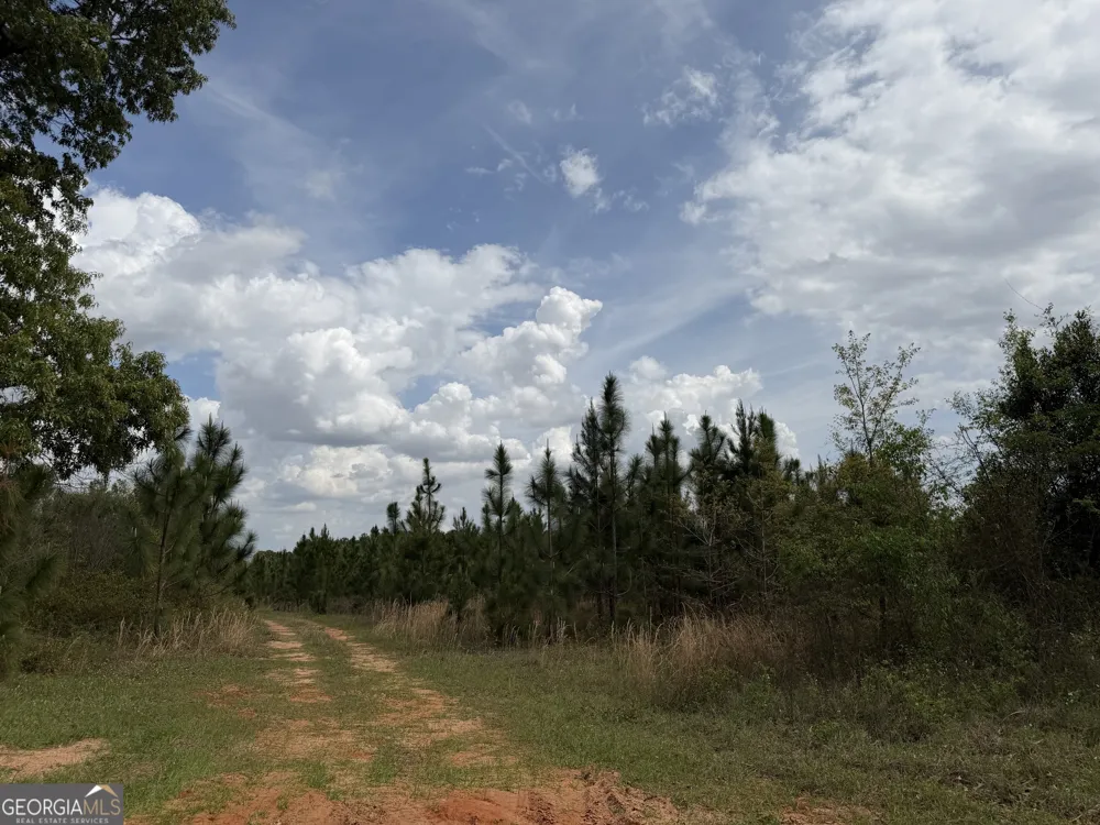 09 Barge RD Lumpkin, GA 31815