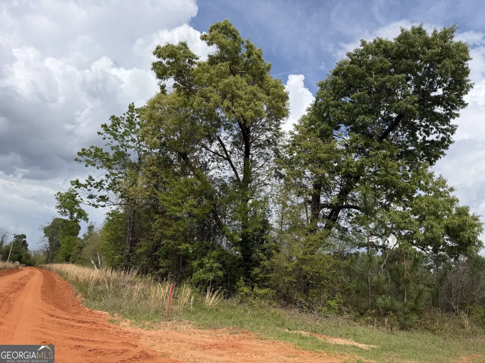 09 Barge RD Lumpkin, GA 31815