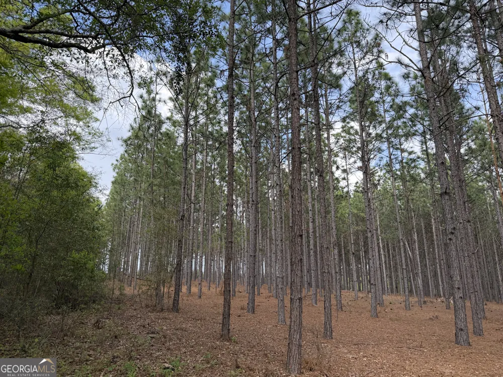 09 Barge RD Lumpkin, GA 31815